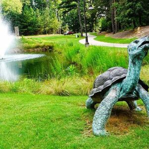 turtle-fountain-michael-vanpatten