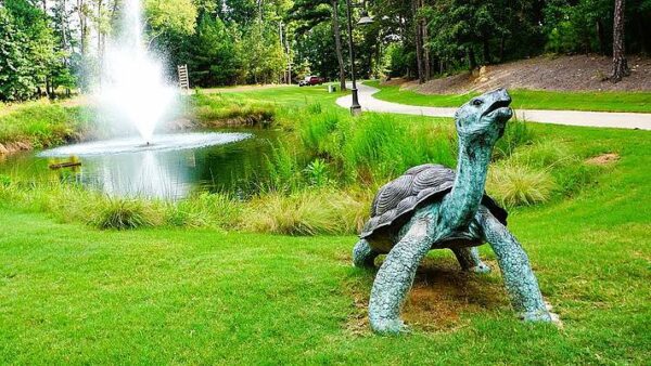 turtle-fountain-michael-vanpatten