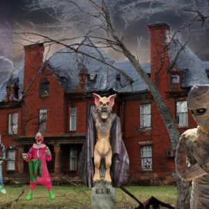 Haunted House Visitors *
