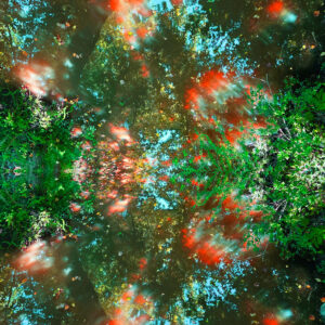 River Tree Reflections *